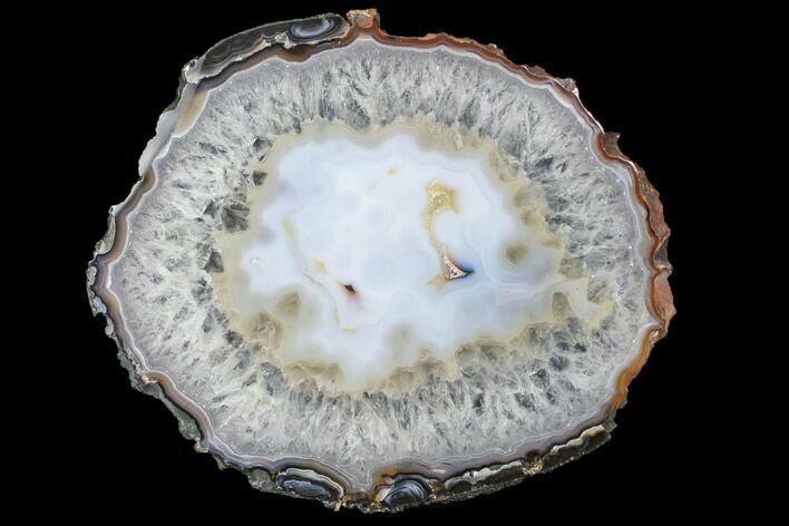 Gorgeous, Polished Brazilian Agate Slice #85188